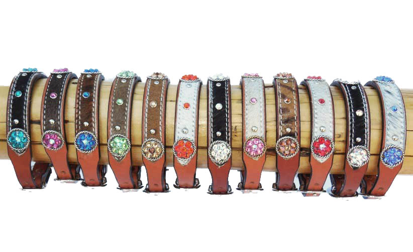 Dog Collars