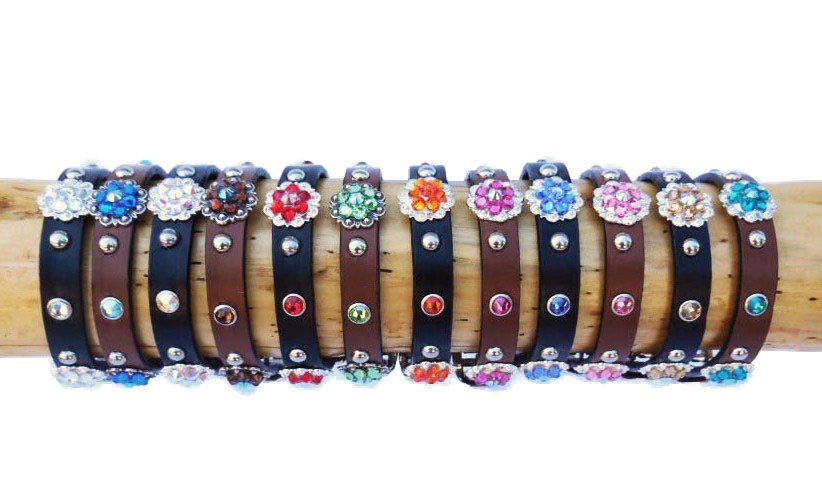 1/2 in wide genuine leather dog collar with Crystal Swarovski berry conchos, rimsets, and domes