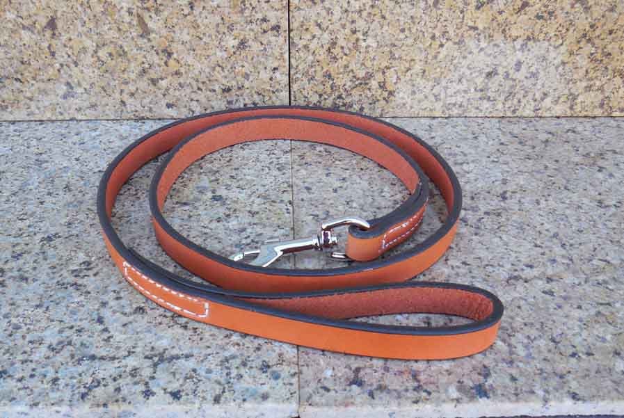 Leashes